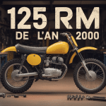 125 rm 2000 dans garage vintage pièces détachées